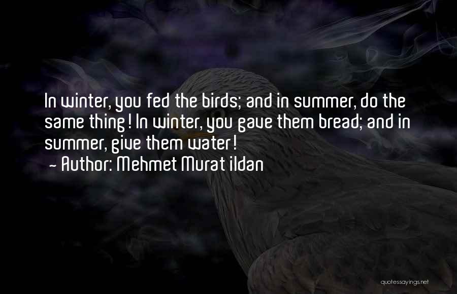 Mehmet Murat Ildan Quotes: In Winter, You Fed The Birds; And In Summer, Do The Same Thing! In Winter, You Gave Them Bread; And