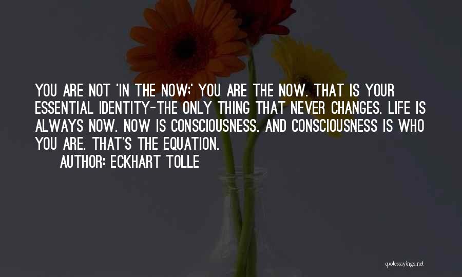 Eckhart Tolle Quotes: You Are Not 'in The Now;' You Are The Now. That Is Your Essential Identity-the Only Thing That Never Changes.