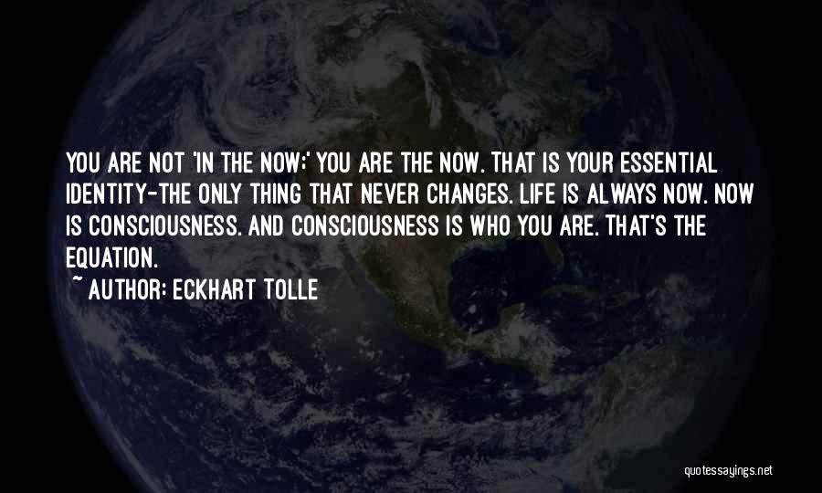 Eckhart Tolle Quotes: You Are Not 'in The Now;' You Are The Now. That Is Your Essential Identity-the Only Thing That Never Changes.