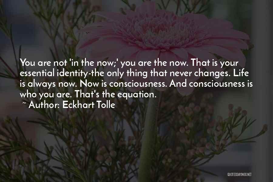 Eckhart Tolle Quotes: You Are Not 'in The Now;' You Are The Now. That Is Your Essential Identity-the Only Thing That Never Changes.