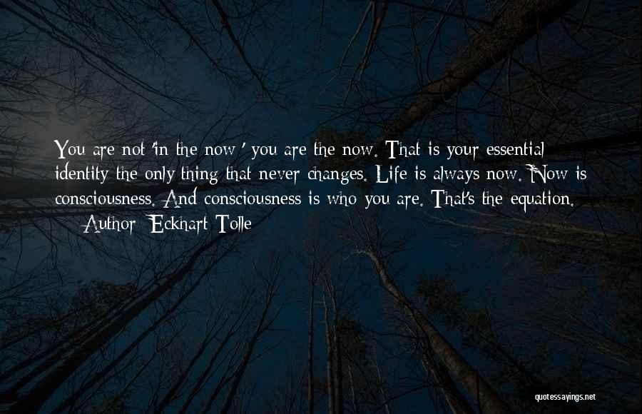 Eckhart Tolle Quotes: You Are Not 'in The Now;' You Are The Now. That Is Your Essential Identity-the Only Thing That Never Changes.