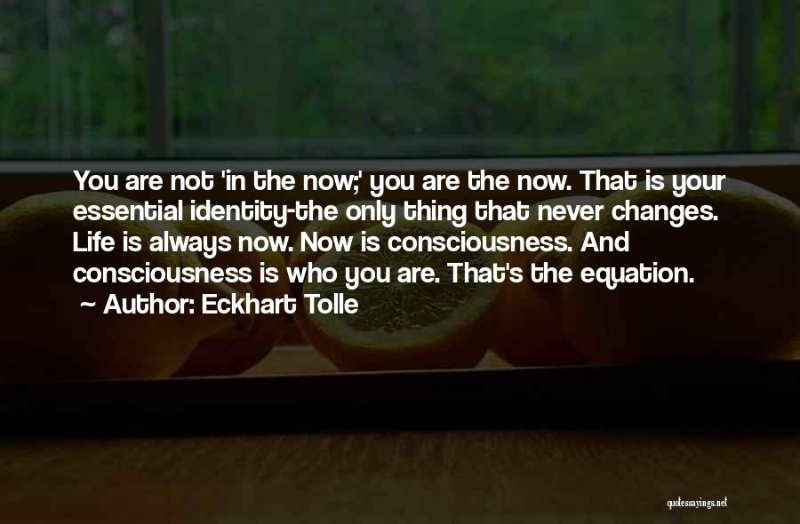 Eckhart Tolle Quotes: You Are Not 'in The Now;' You Are The Now. That Is Your Essential Identity-the Only Thing That Never Changes.