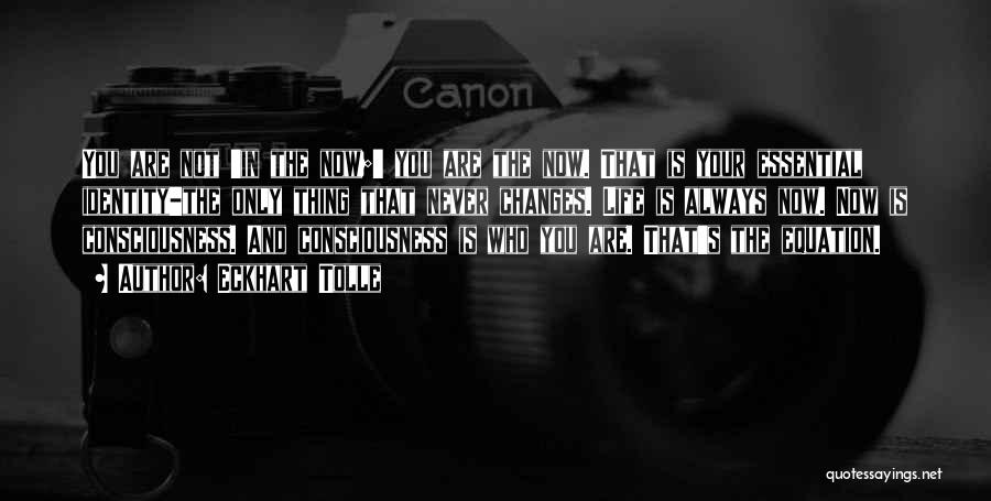 Eckhart Tolle Quotes: You Are Not 'in The Now;' You Are The Now. That Is Your Essential Identity-the Only Thing That Never Changes.