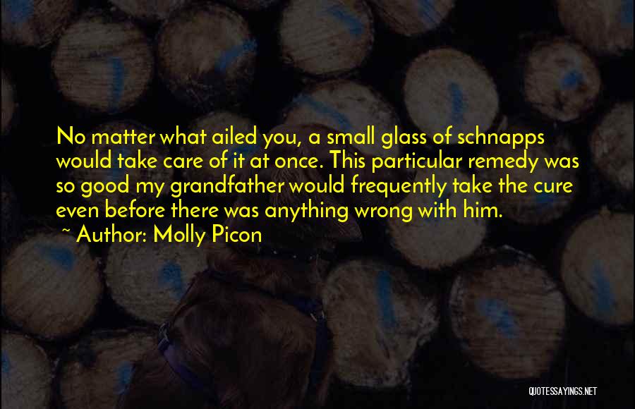 Molly Picon Quotes: No Matter What Ailed You, A Small Glass Of Schnapps Would Take Care Of It At Once. This Particular Remedy