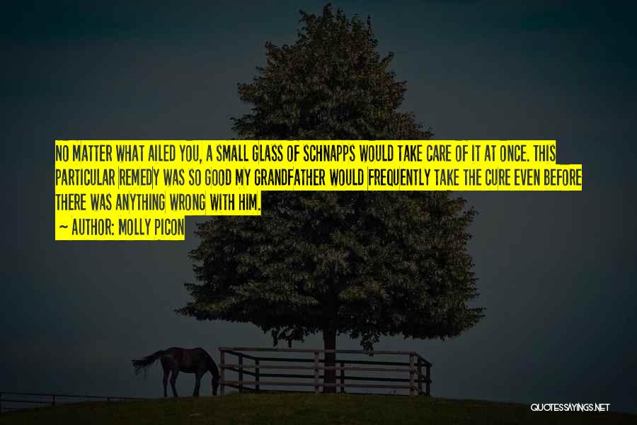 Molly Picon Quotes: No Matter What Ailed You, A Small Glass Of Schnapps Would Take Care Of It At Once. This Particular Remedy