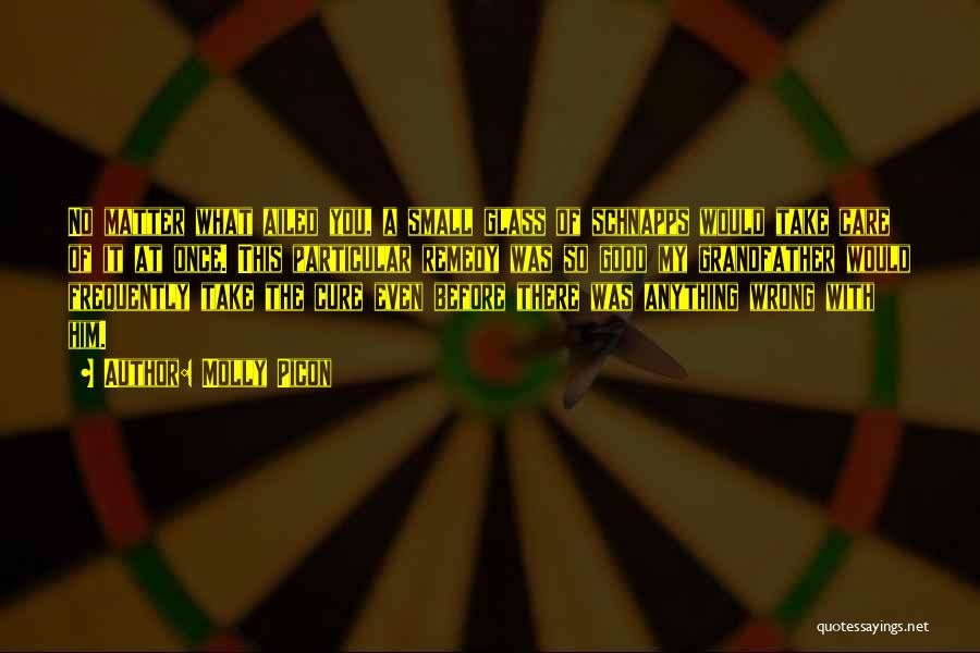 Molly Picon Quotes: No Matter What Ailed You, A Small Glass Of Schnapps Would Take Care Of It At Once. This Particular Remedy