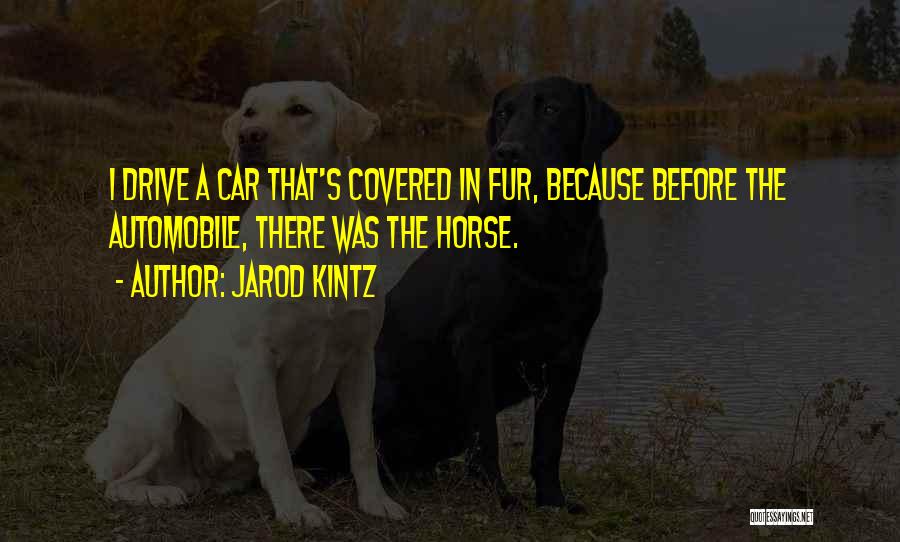 Jarod Kintz Quotes: I Drive A Car That's Covered In Fur, Because Before The Automobile, There Was The Horse.