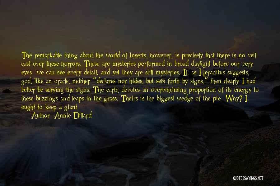 Annie Dillard Quotes: The Remarkable Thing About The World Of Insects, However, Is Precisely That There Is No Veil Cast Over These Horrors.