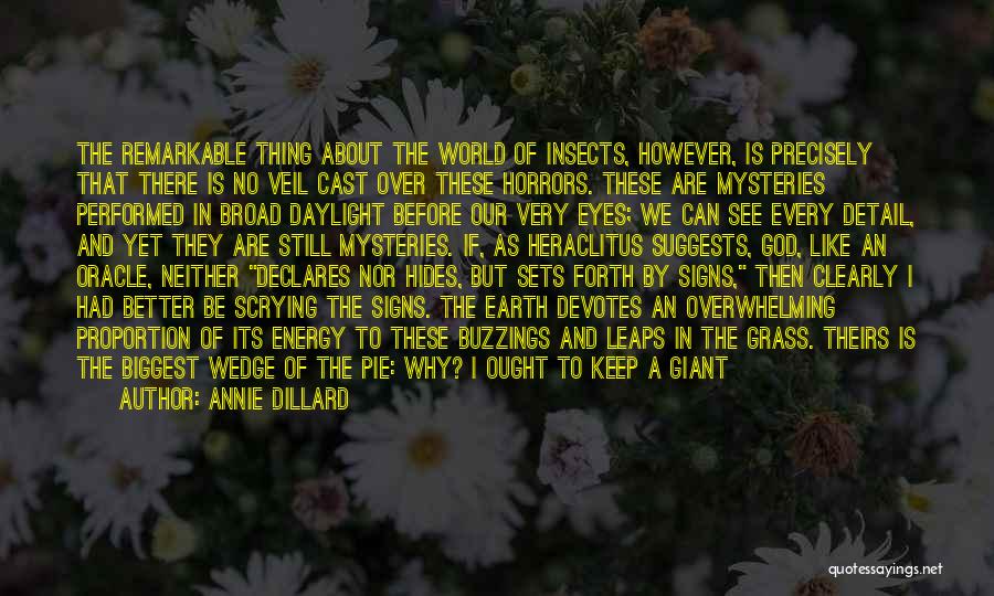 Annie Dillard Quotes: The Remarkable Thing About The World Of Insects, However, Is Precisely That There Is No Veil Cast Over These Horrors.