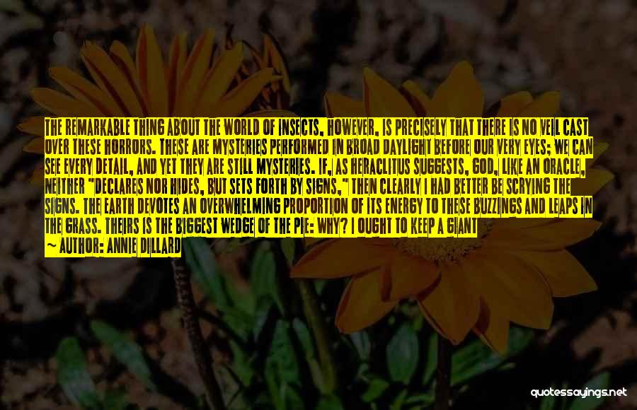 Annie Dillard Quotes: The Remarkable Thing About The World Of Insects, However, Is Precisely That There Is No Veil Cast Over These Horrors.