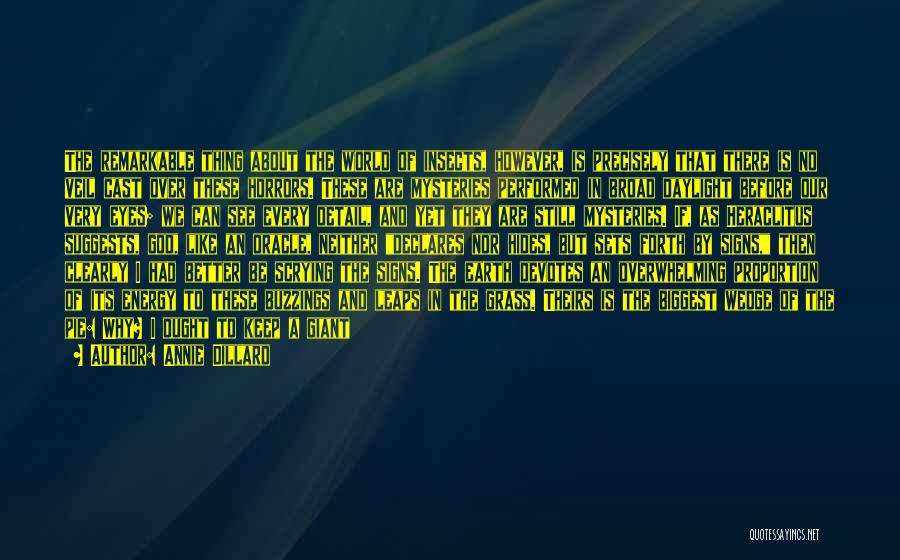 Annie Dillard Quotes: The Remarkable Thing About The World Of Insects, However, Is Precisely That There Is No Veil Cast Over These Horrors.