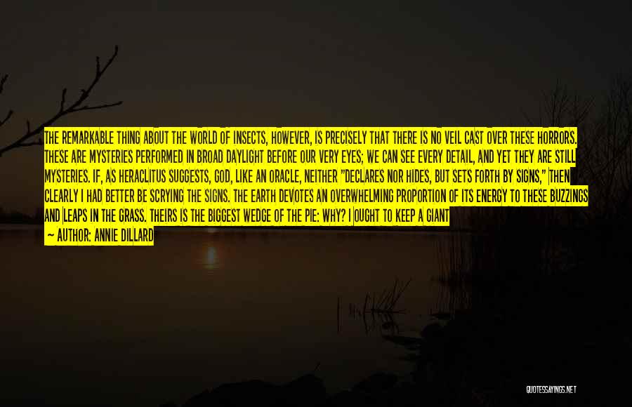 Annie Dillard Quotes: The Remarkable Thing About The World Of Insects, However, Is Precisely That There Is No Veil Cast Over These Horrors.