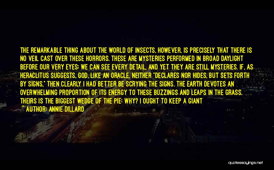 Annie Dillard Quotes: The Remarkable Thing About The World Of Insects, However, Is Precisely That There Is No Veil Cast Over These Horrors.