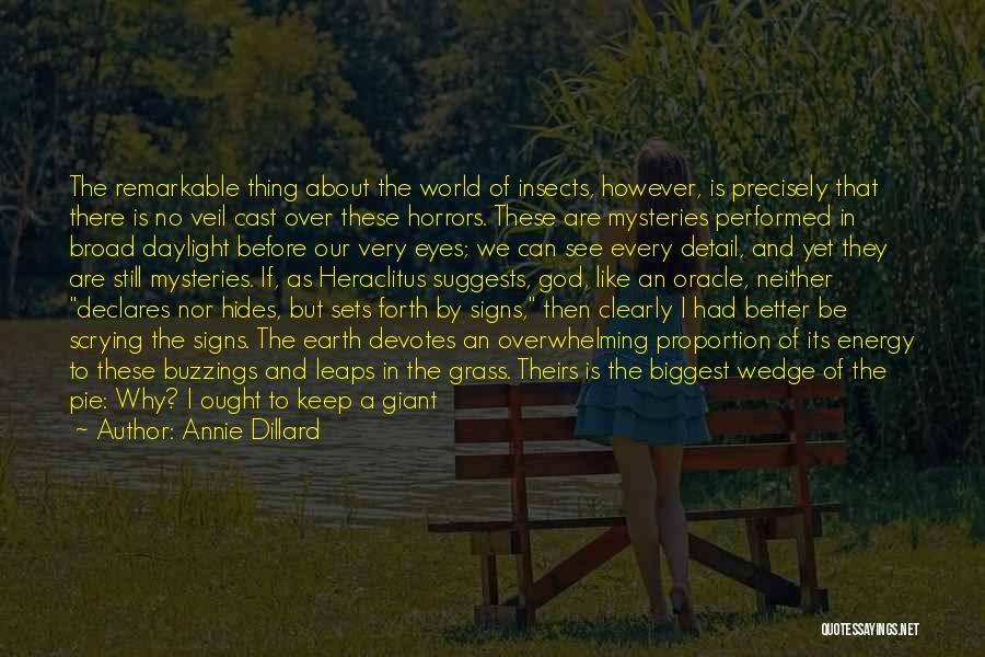 Annie Dillard Quotes: The Remarkable Thing About The World Of Insects, However, Is Precisely That There Is No Veil Cast Over These Horrors.