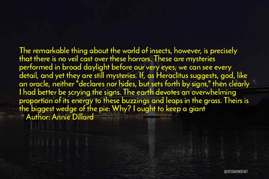 Annie Dillard Quotes: The Remarkable Thing About The World Of Insects, However, Is Precisely That There Is No Veil Cast Over These Horrors.