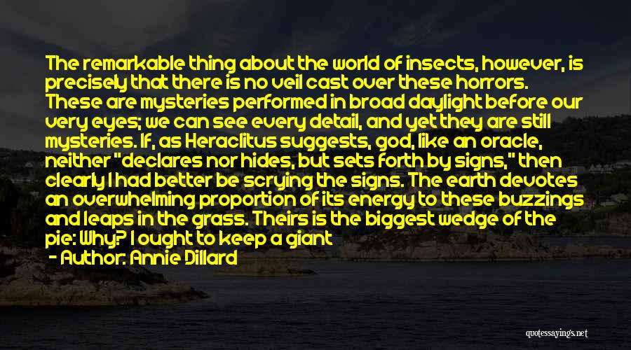 Annie Dillard Quotes: The Remarkable Thing About The World Of Insects, However, Is Precisely That There Is No Veil Cast Over These Horrors.