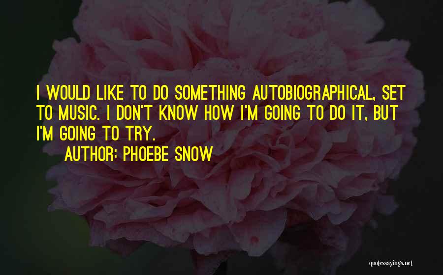 Phoebe Snow Quotes: I Would Like To Do Something Autobiographical, Set To Music. I Don't Know How I'm Going To Do It, But