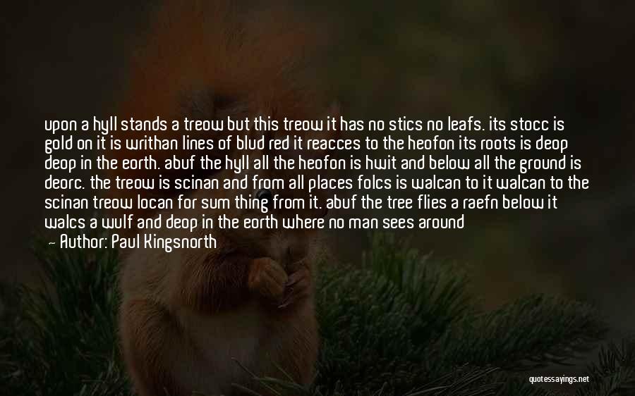 Paul Kingsnorth Quotes: Upon A Hyll Stands A Treow But This Treow It Has No Stics No Leafs. Its Stocc Is Gold On