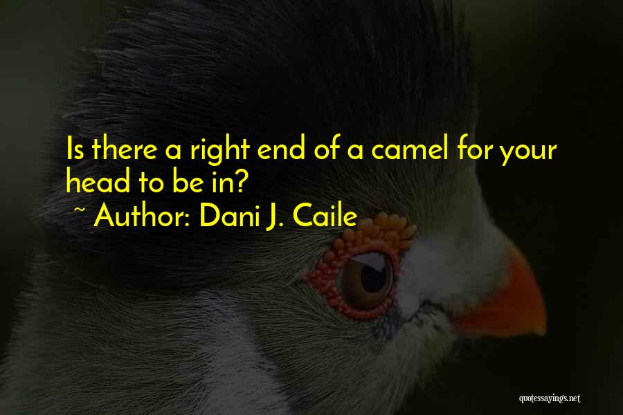 Dani J. Caile Quotes: Is There A Right End Of A Camel For Your Head To Be In?