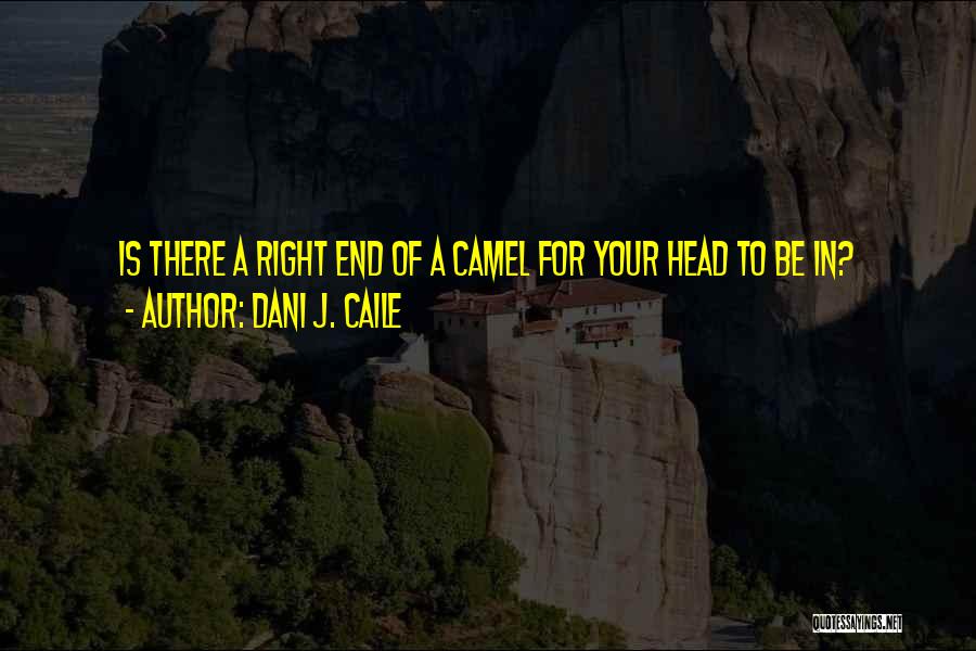 Dani J. Caile Quotes: Is There A Right End Of A Camel For Your Head To Be In?