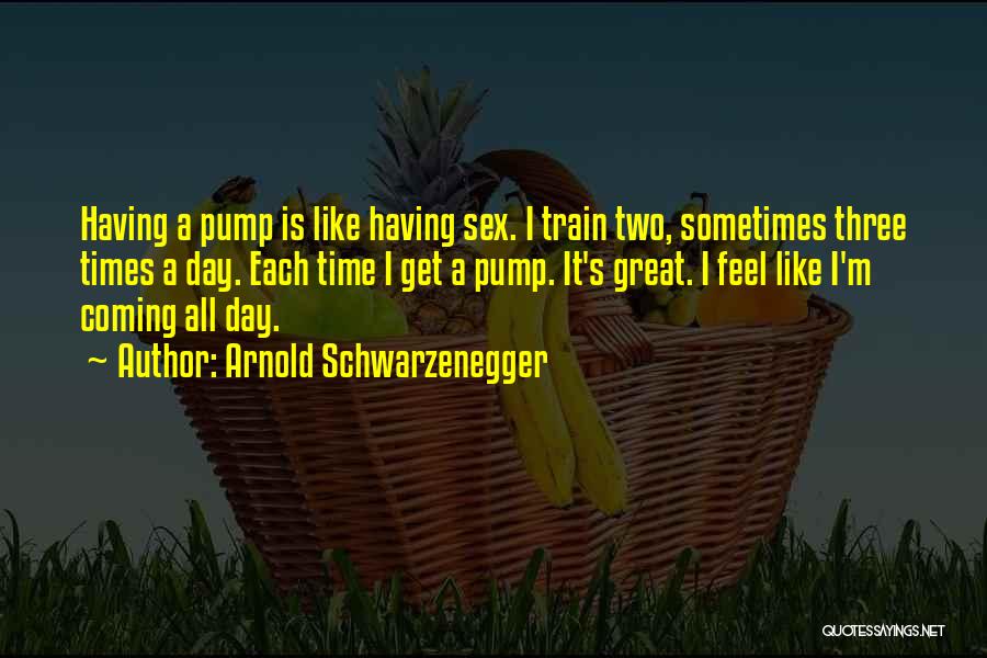 Arnold Schwarzenegger Quotes: Having A Pump Is Like Having Sex. I Train Two, Sometimes Three Times A Day. Each Time I Get A