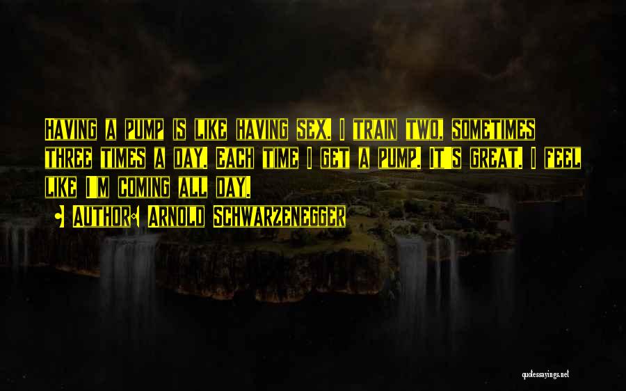 Arnold Schwarzenegger Quotes: Having A Pump Is Like Having Sex. I Train Two, Sometimes Three Times A Day. Each Time I Get A