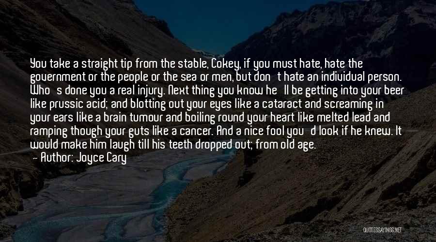 Joyce Cary Quotes: You Take A Straight Tip From The Stable, Cokey, If You Must Hate, Hate The Government Or The People Or