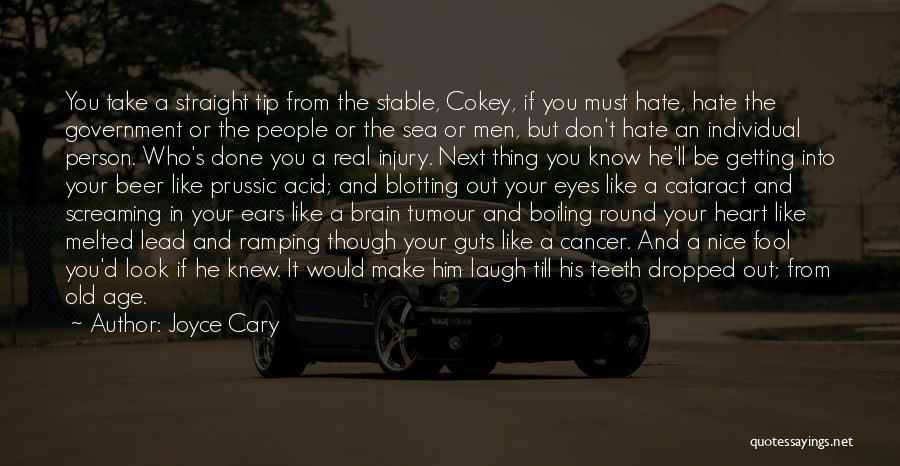 Joyce Cary Quotes: You Take A Straight Tip From The Stable, Cokey, If You Must Hate, Hate The Government Or The People Or