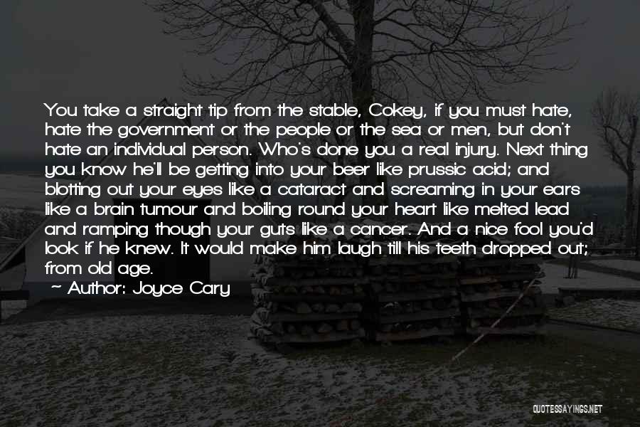 Joyce Cary Quotes: You Take A Straight Tip From The Stable, Cokey, If You Must Hate, Hate The Government Or The People Or