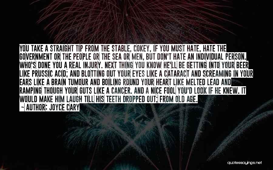 Joyce Cary Quotes: You Take A Straight Tip From The Stable, Cokey, If You Must Hate, Hate The Government Or The People Or