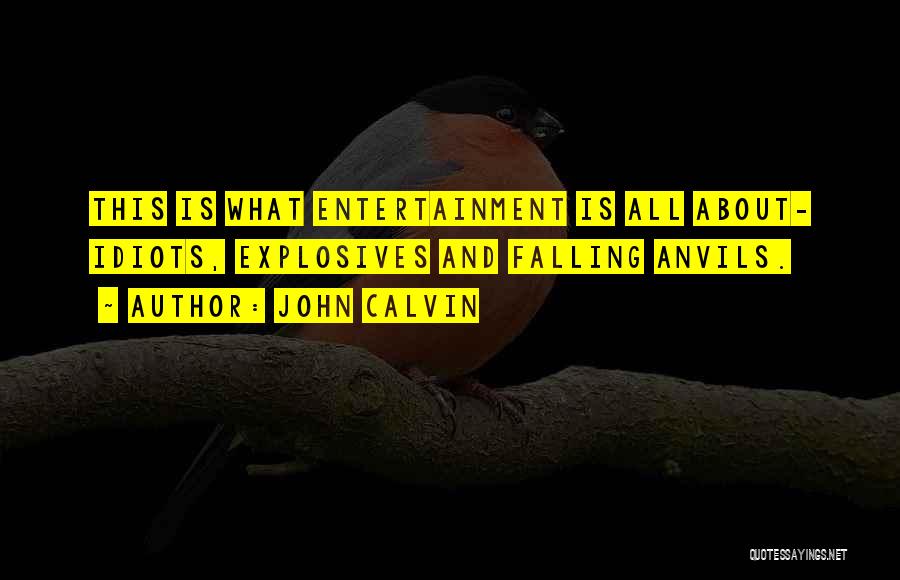 John Calvin Quotes: This Is What Entertainment Is All About- Idiots, Explosives And Falling Anvils.