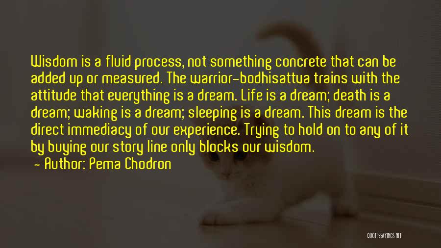 Pema Chodron Quotes: Wisdom Is A Fluid Process, Not Something Concrete That Can Be Added Up Or Measured. The Warrior-bodhisattva Trains With The