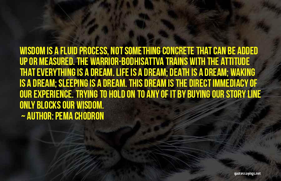 Pema Chodron Quotes: Wisdom Is A Fluid Process, Not Something Concrete That Can Be Added Up Or Measured. The Warrior-bodhisattva Trains With The