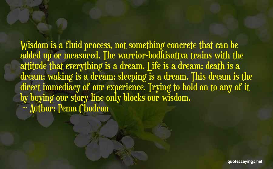 Pema Chodron Quotes: Wisdom Is A Fluid Process, Not Something Concrete That Can Be Added Up Or Measured. The Warrior-bodhisattva Trains With The