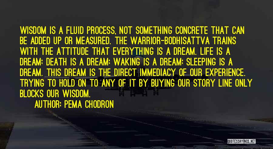 Pema Chodron Quotes: Wisdom Is A Fluid Process, Not Something Concrete That Can Be Added Up Or Measured. The Warrior-bodhisattva Trains With The