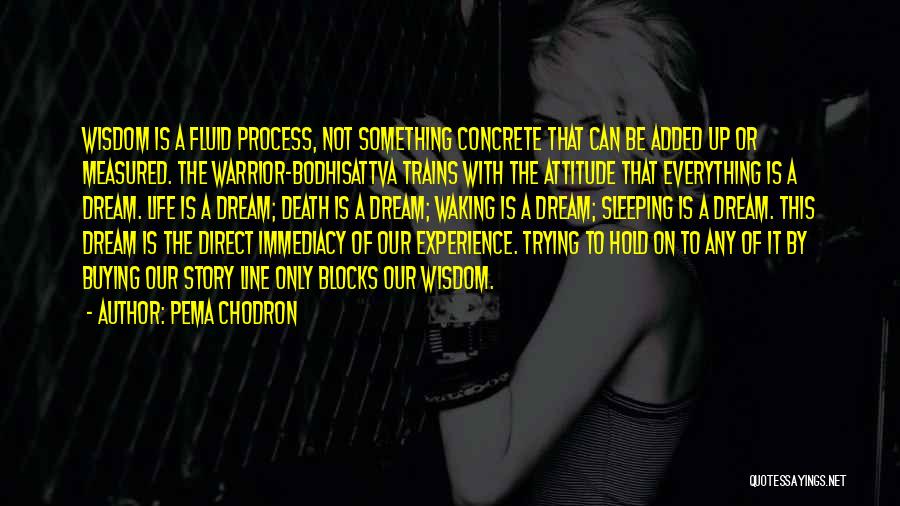 Pema Chodron Quotes: Wisdom Is A Fluid Process, Not Something Concrete That Can Be Added Up Or Measured. The Warrior-bodhisattva Trains With The