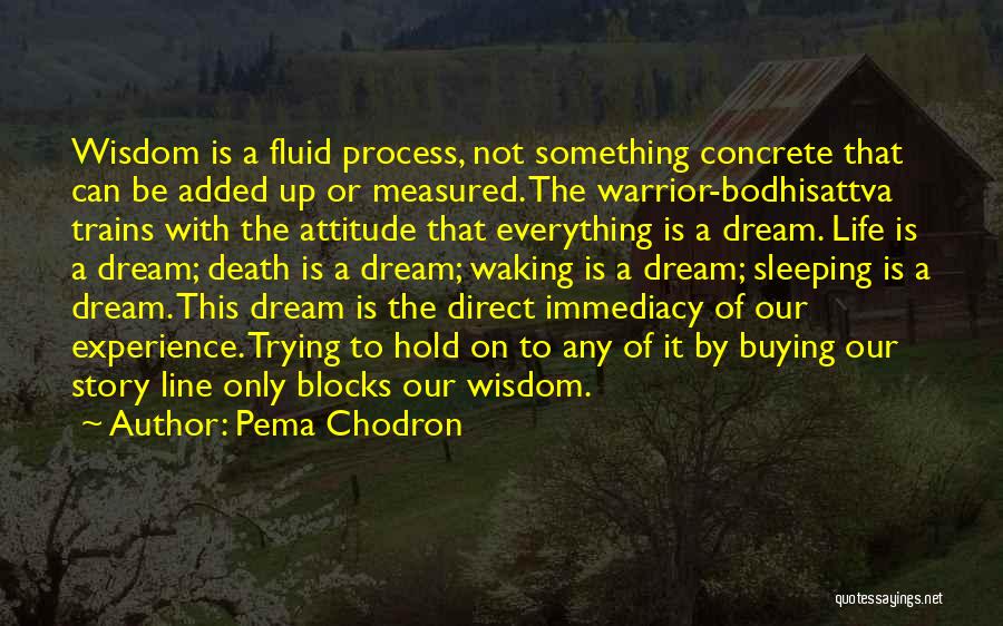 Pema Chodron Quotes: Wisdom Is A Fluid Process, Not Something Concrete That Can Be Added Up Or Measured. The Warrior-bodhisattva Trains With The