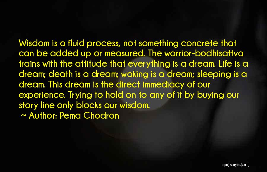 Pema Chodron Quotes: Wisdom Is A Fluid Process, Not Something Concrete That Can Be Added Up Or Measured. The Warrior-bodhisattva Trains With The