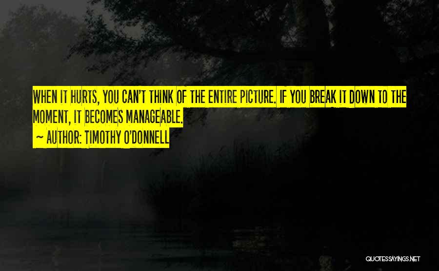 Timothy O'Donnell Quotes: When It Hurts, You Can't Think Of The Entire Picture. If You Break It Down To The Moment, It Becomes