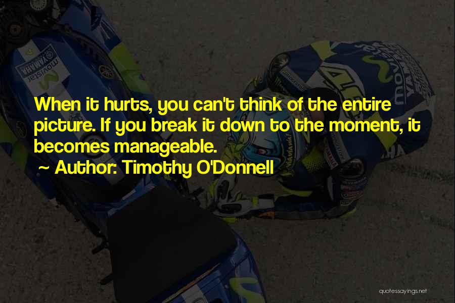 Timothy O'Donnell Quotes: When It Hurts, You Can't Think Of The Entire Picture. If You Break It Down To The Moment, It Becomes