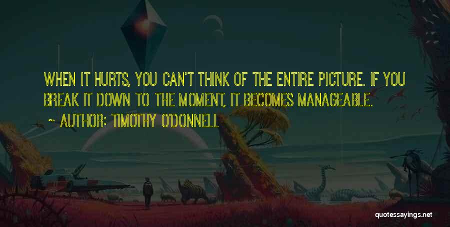 Timothy O'Donnell Quotes: When It Hurts, You Can't Think Of The Entire Picture. If You Break It Down To The Moment, It Becomes