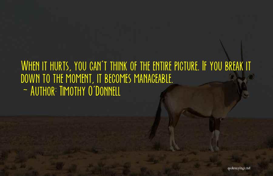 Timothy O'Donnell Quotes: When It Hurts, You Can't Think Of The Entire Picture. If You Break It Down To The Moment, It Becomes