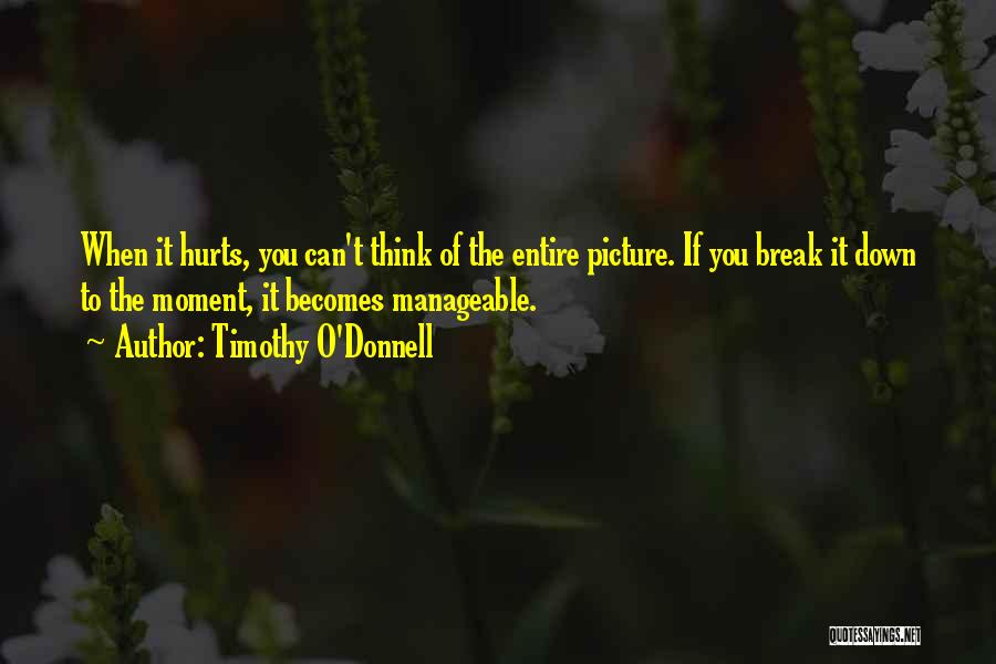 Timothy O'Donnell Quotes: When It Hurts, You Can't Think Of The Entire Picture. If You Break It Down To The Moment, It Becomes