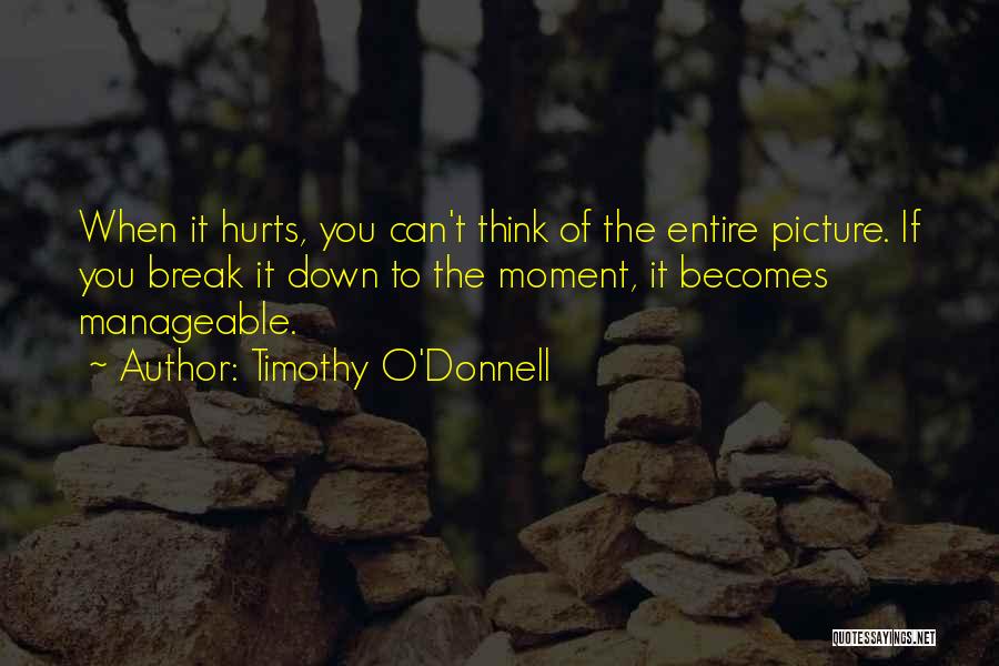 Timothy O'Donnell Quotes: When It Hurts, You Can't Think Of The Entire Picture. If You Break It Down To The Moment, It Becomes