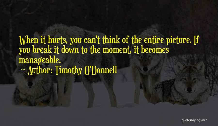 Timothy O'Donnell Quotes: When It Hurts, You Can't Think Of The Entire Picture. If You Break It Down To The Moment, It Becomes