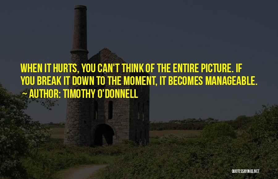 Timothy O'Donnell Quotes: When It Hurts, You Can't Think Of The Entire Picture. If You Break It Down To The Moment, It Becomes