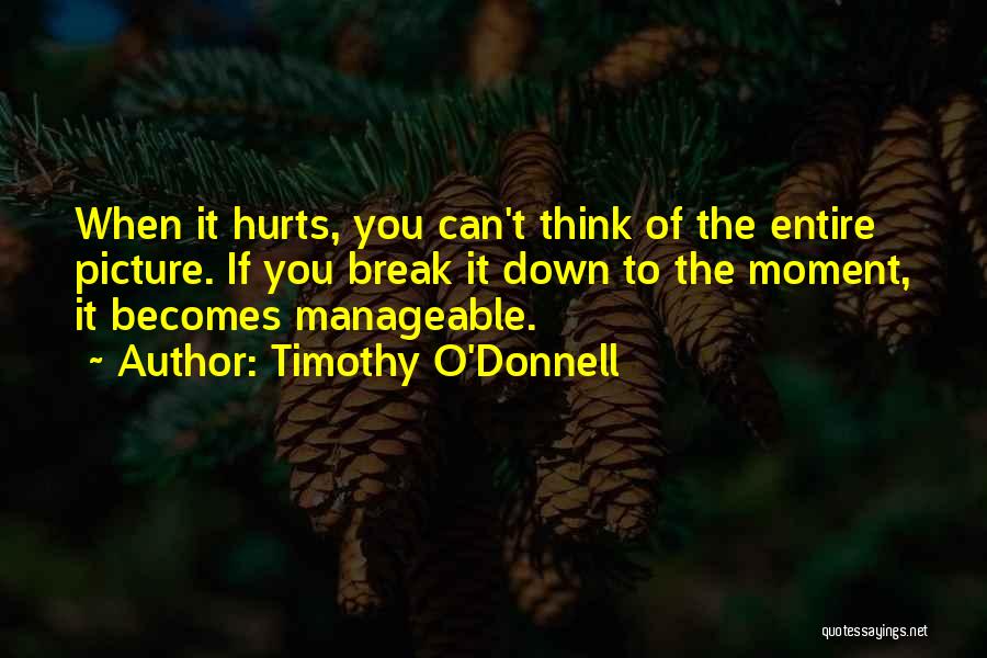 Timothy O'Donnell Quotes: When It Hurts, You Can't Think Of The Entire Picture. If You Break It Down To The Moment, It Becomes