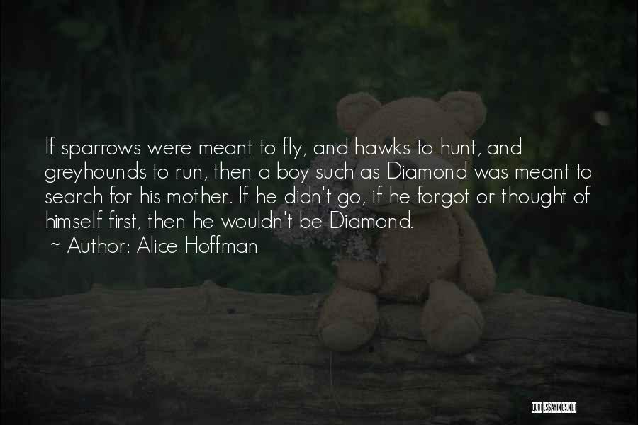 Alice Hoffman Quotes: If Sparrows Were Meant To Fly, And Hawks To Hunt, And Greyhounds To Run, Then A Boy Such As Diamond