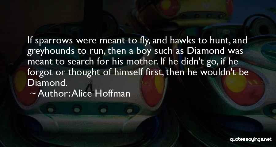 Alice Hoffman Quotes: If Sparrows Were Meant To Fly, And Hawks To Hunt, And Greyhounds To Run, Then A Boy Such As Diamond