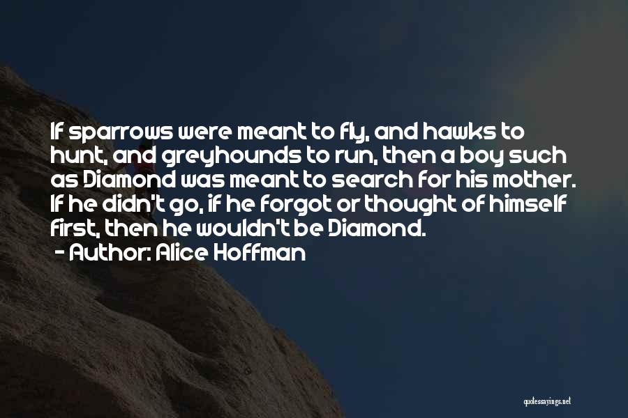 Alice Hoffman Quotes: If Sparrows Were Meant To Fly, And Hawks To Hunt, And Greyhounds To Run, Then A Boy Such As Diamond